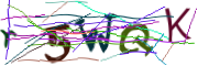 이미지 CAPTCHA