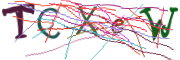 이미지 CAPTCHA