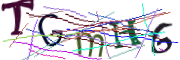 이미지 CAPTCHA