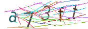 Bild CAPTCHA
