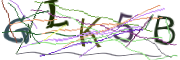 이미지 CAPTCHA