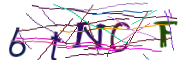 이미지 CAPTCHA