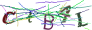 Bild CAPTCHA