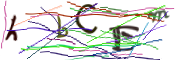 Bild CAPTCHA