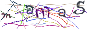 Bild CAPTCHA