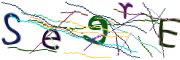 이미지 CAPTCHA