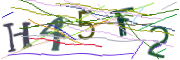 이미지 CAPTCHA