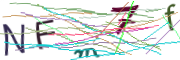 이미지 CAPTCHA