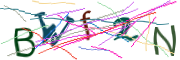 이미지 CAPTCHA