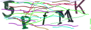 이미지 CAPTCHA