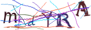 이미지 CAPTCHA