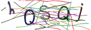 이미지 CAPTCHA