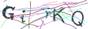 이미지 CAPTCHA