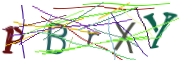 이미지 CAPTCHA