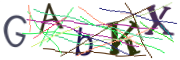 이미지 CAPTCHA