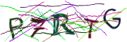 이미지 CAPTCHA