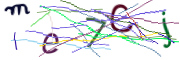이미지 CAPTCHA