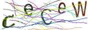 이미지 CAPTCHA