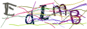 이미지 CAPTCHA