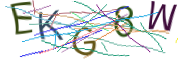 이미지 CAPTCHA