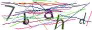 이미지 CAPTCHA