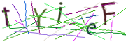 이미지 CAPTCHA