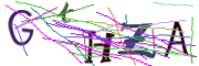 이미지 CAPTCHA