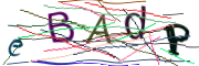 Bild CAPTCHA