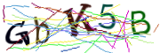 이미지 CAPTCHA