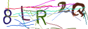 이미지 CAPTCHA