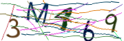 이미지 CAPTCHA