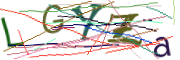 이미지 CAPTCHA