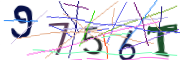이미지 CAPTCHA