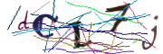 이미지 CAPTCHA