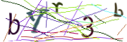 이미지 CAPTCHA