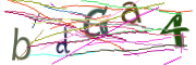 이미지 CAPTCHA