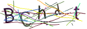 이미지 CAPTCHA