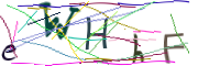 이미지 CAPTCHA
