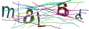 이미지 CAPTCHA