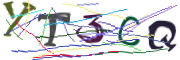이미지 CAPTCHA