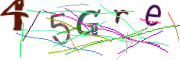 이미지 CAPTCHA