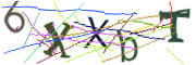 이미지 CAPTCHA