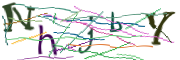 이미지 CAPTCHA