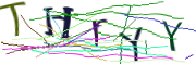이미지 CAPTCHA