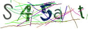 이미지 CAPTCHA