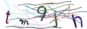 이미지 CAPTCHA