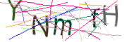 이미지 CAPTCHA