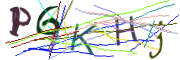 이미지 CAPTCHA