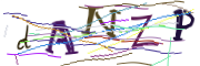 이미지 CAPTCHA