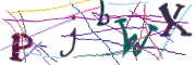 이미지 CAPTCHA